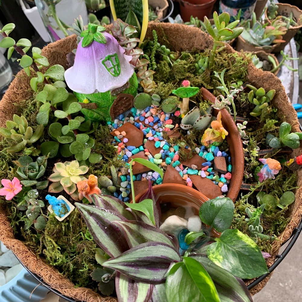 fairy house garden
